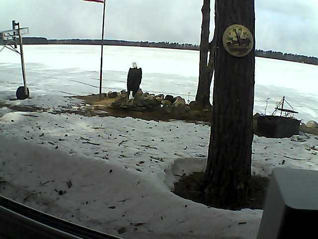 Whiteface Cam Image - Wed, 04/15/2020 10:19am 