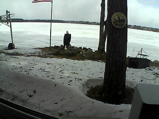 Whiteface Cam Image - Wed, 04/15/2020 10:30am 