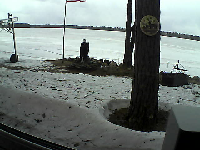 Whiteface Cam Image - Wed, 04/15/2020 1:00pm 