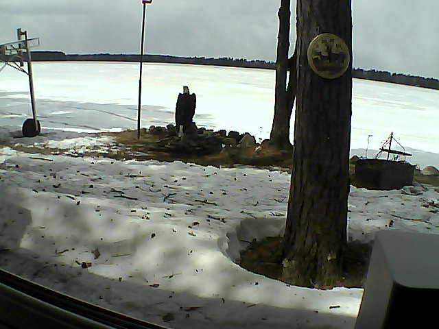 Whiteface Cam Image - Wed, 04/15/2020 1:20pm 