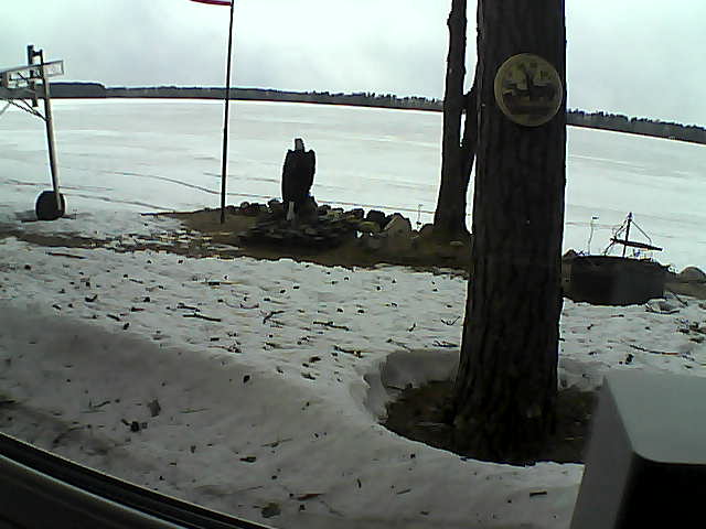 Whiteface Cam Image - Wed, 04/15/2020 1:50pm 