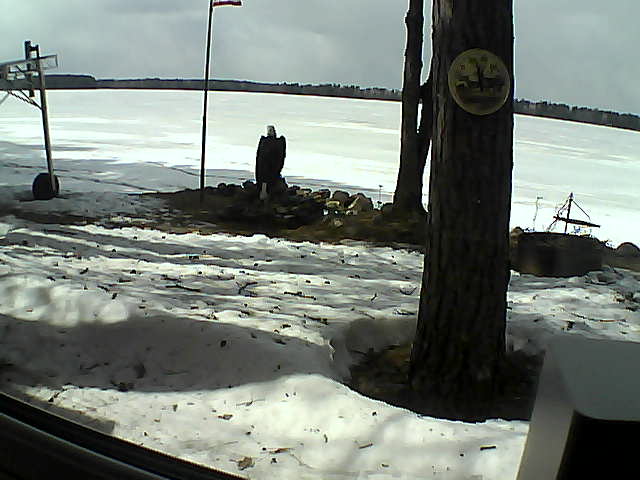 Whiteface Cam Image - Wed, 04/15/2020 2:30pm 