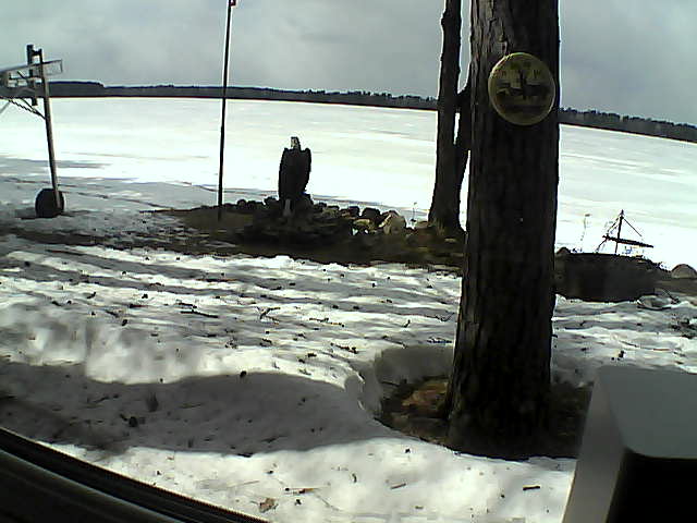 Whiteface Cam Image - Wed, 04/15/2020 2:40pm 