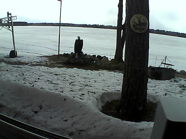 Whiteface Cam Image - Wed, 04/15/2020 4:10pm 