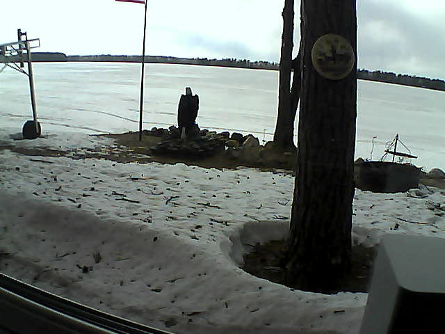 Whiteface Cam Image - Wed, 04/15/2020 4:50pm 