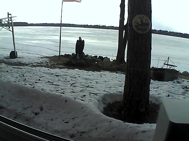 Whiteface Cam Image - Wed, 04/15/2020 5:30pm 