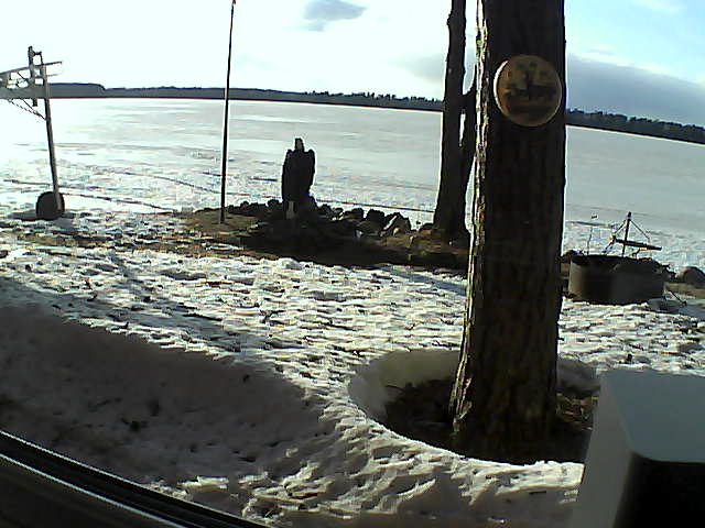 Whiteface Cam Image - Wed, 04/15/2020 6:40pm 