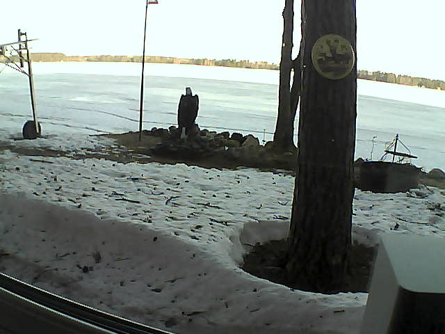 Whiteface Cam Image - Thu, 04/16/2020 7:19am 