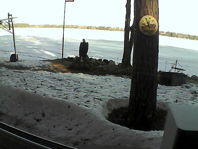 Whiteface Cam Image - Thu, 04/16/2020 8:19am 