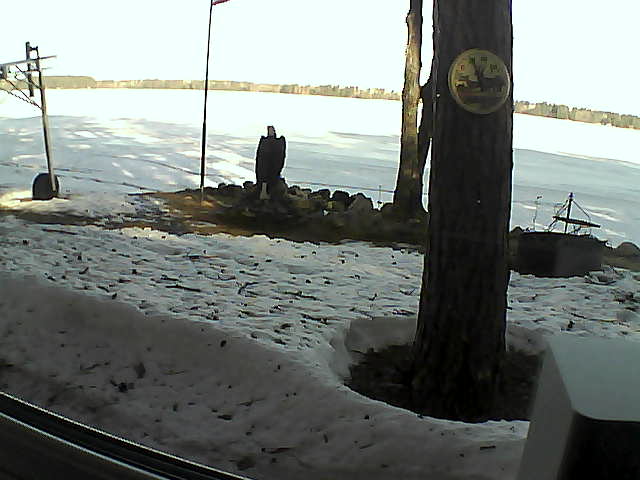 Whiteface Cam Image - Thu, 04/16/2020 8:29am 