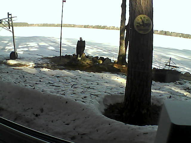 Whiteface Cam Image - Thu, 04/16/2020 8:59am 