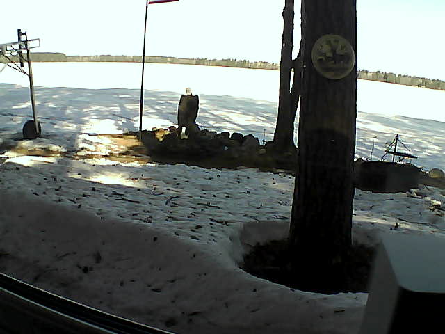 Whiteface Cam Image - Thu, 04/16/2020 9:19am 