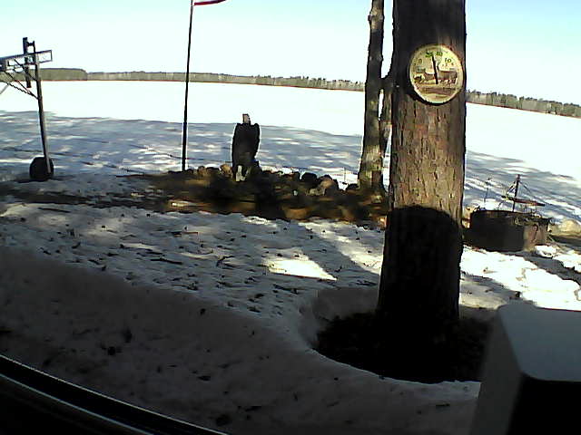 Whiteface Cam Image - Thu, 04/16/2020 9:49am 