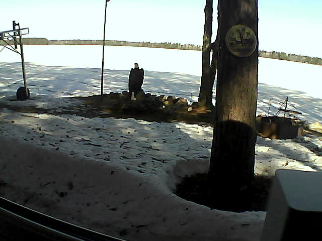 Whiteface Cam Image - Thu, 04/16/2020 9:59am 