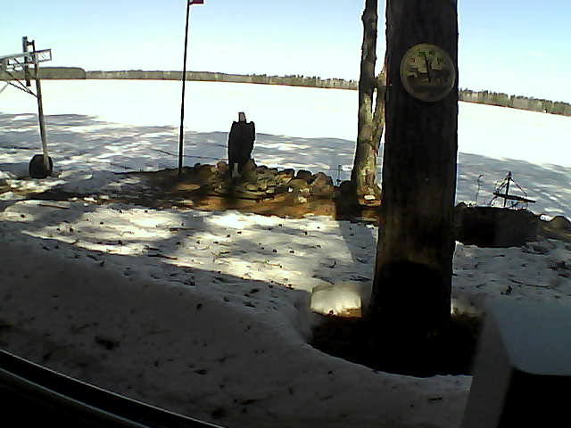 Whiteface Cam Image - Thu, 04/16/2020 10:39am 