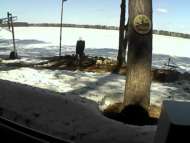 Whiteface Cam Image - Thu, 04/16/2020 11:19am 