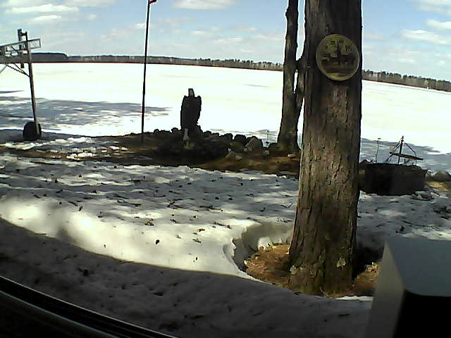 Whiteface Cam Image - Thu, 04/16/2020 12:39pm 