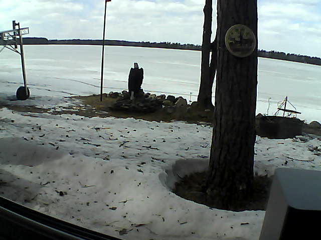 Whiteface Cam Image - Thu, 04/16/2020 1:59pm 