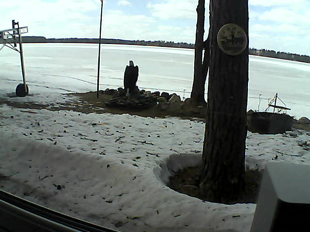 Whiteface Cam Image - Thu, 04/16/2020 2:59pm 