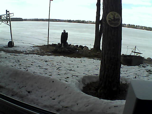 Whiteface Cam Image - Thu, 04/16/2020 3:19pm 