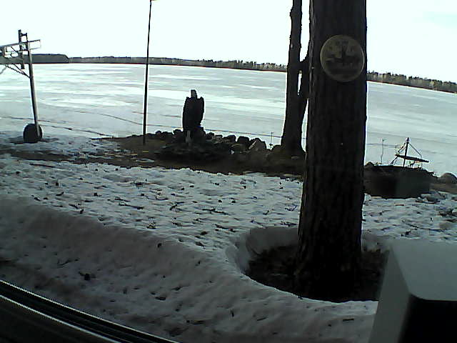 Whiteface Cam Image - Thu, 04/16/2020 4:29pm 