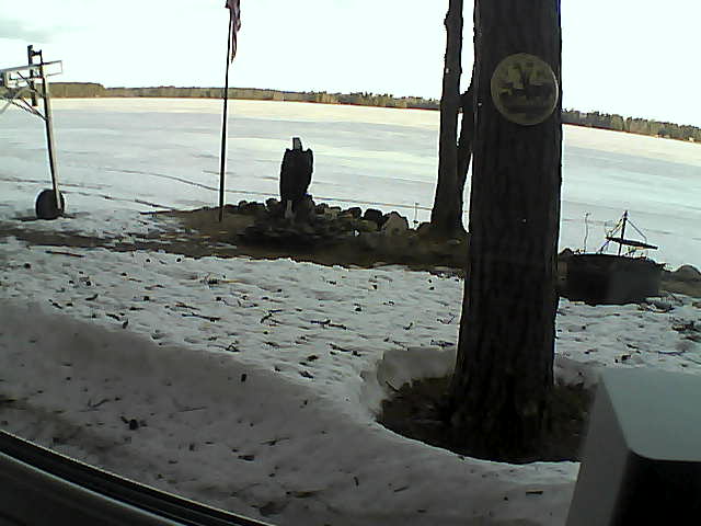 Whiteface Cam Image - Fri, 04/17/2020 6:55am 