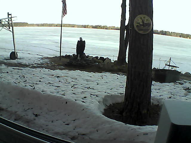 Whiteface Cam Image - Fri, 04/17/2020 7:05am 