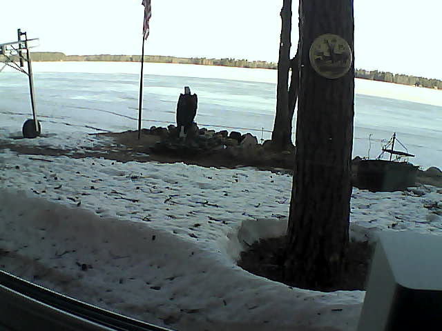 Whiteface Cam Image - Fri, 04/17/2020 7:15am 