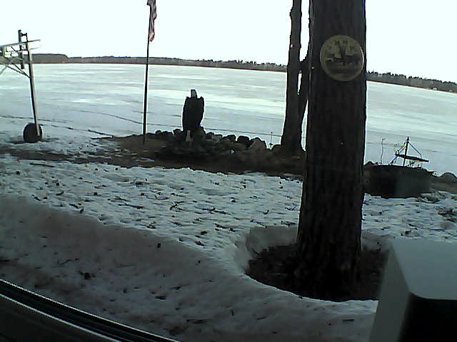 Whiteface Cam Image - Fri, 04/17/2020 7:35am 