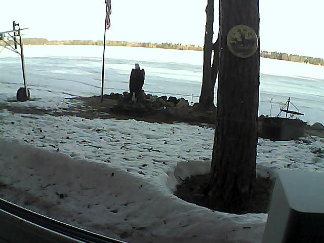 Whiteface Cam Image - Fri, 04/17/2020 7:45am 