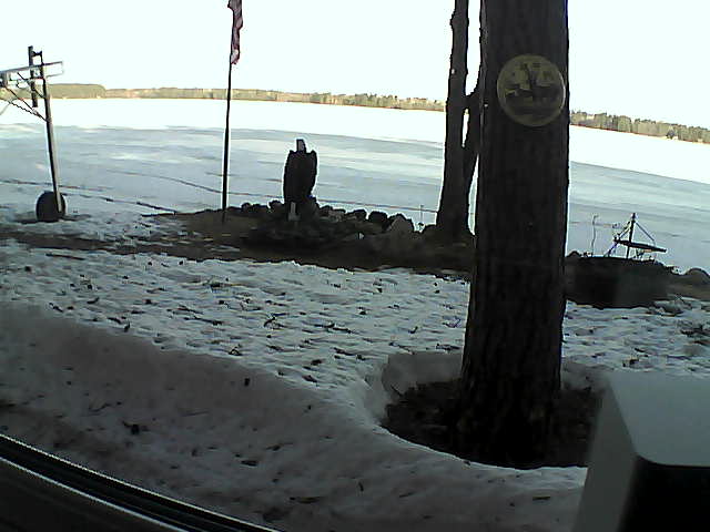 Whiteface Cam Image - Fri, 04/17/2020 7:55am 