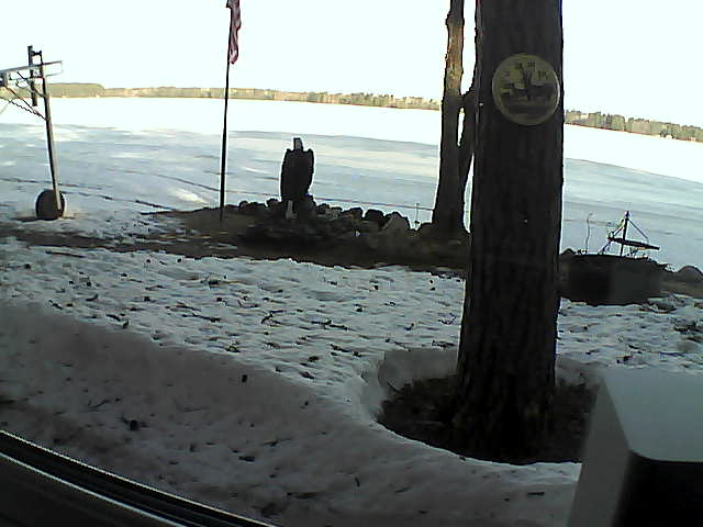 Whiteface Cam Image - Fri, 04/17/2020 8:05am 