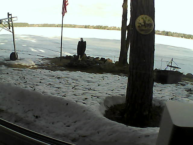 Whiteface Cam Image - Fri, 04/17/2020 8:15am 