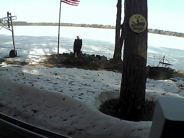 Whiteface Cam Image - Fri, 04/17/2020 9:15am 