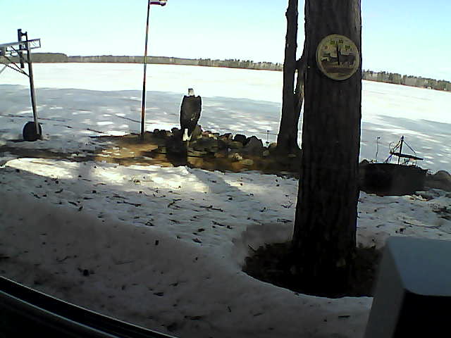 Whiteface Cam Image - Fri, 04/17/2020 9:25am 