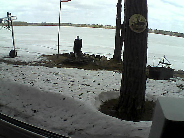 Whiteface Cam Image - Fri, 04/17/2020 10:46am 