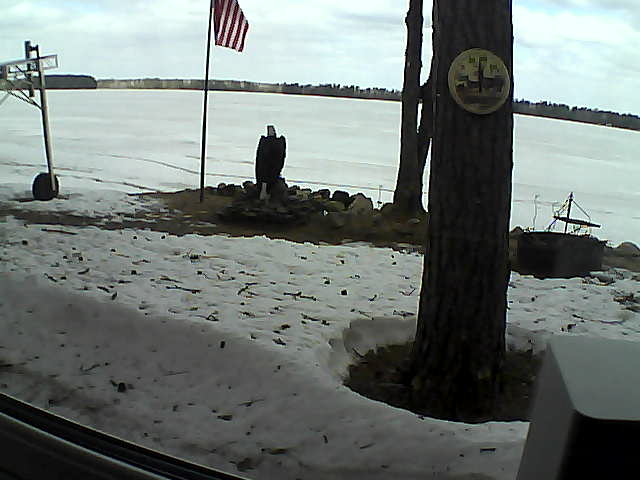 Whiteface Cam Image - Fri, 04/17/2020 11:06am 