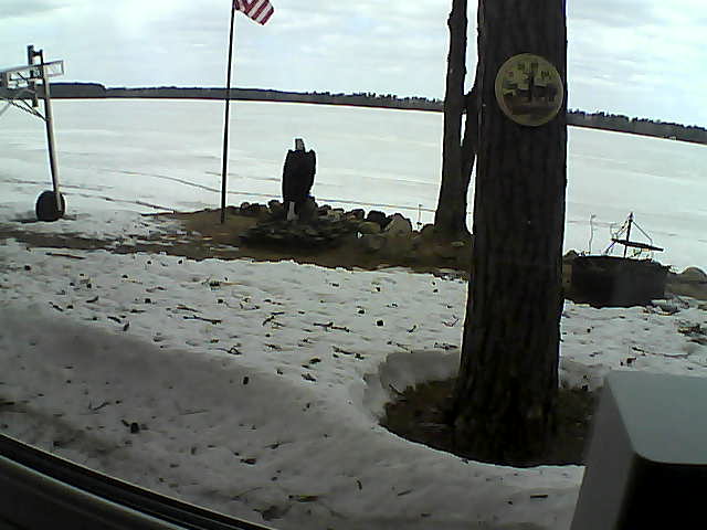 Whiteface Cam Image - Fri, 04/17/2020 11:16am 