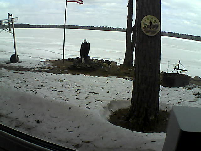 Whiteface Cam Image - Fri, 04/17/2020 11:26am 