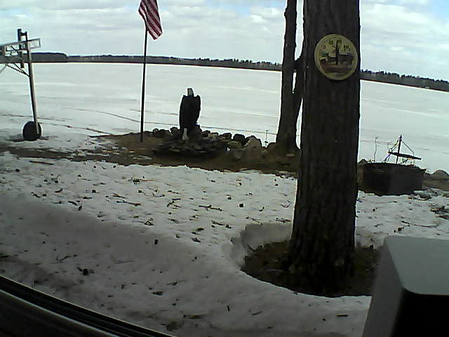 Whiteface Cam Image - Fri, 04/17/2020 11:36am 