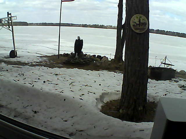 Whiteface Cam Image - Fri, 04/17/2020 11:46am 