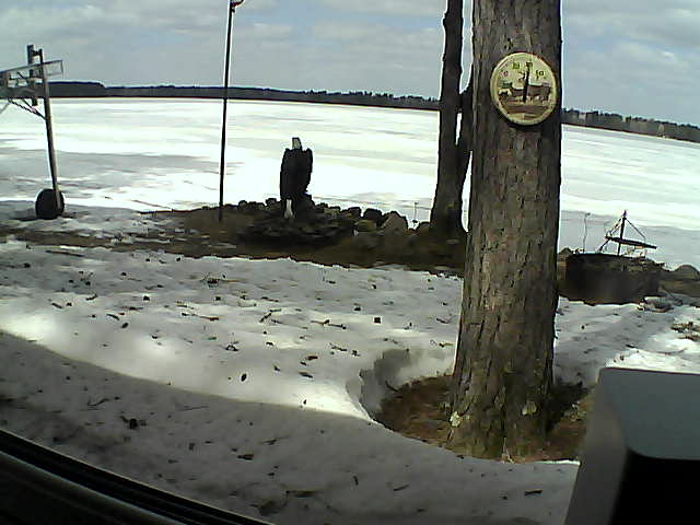 Whiteface Cam Image - Fri, 04/17/2020 12:26pm 