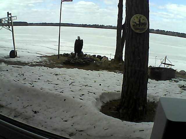 Whiteface Cam Image - Fri, 04/17/2020 12:46pm 