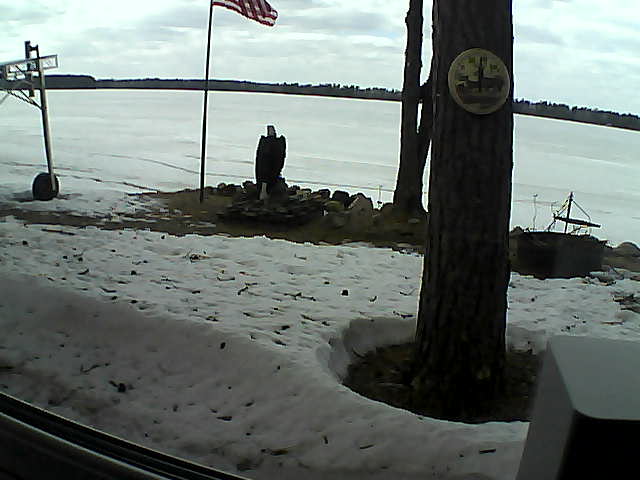 Whiteface Cam Image - Fri, 04/17/2020 2:56pm 