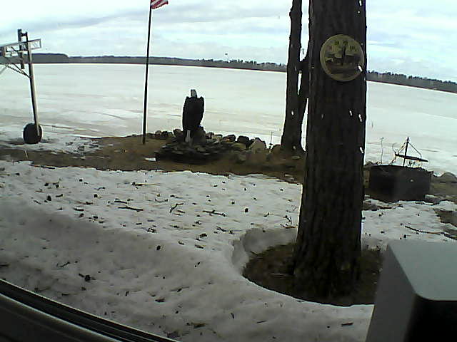 Whiteface Cam Image - Sat, 04/18/2020 1:54pm 