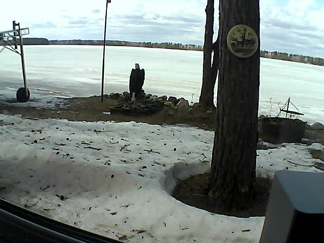 Whiteface Cam Image - Sat, 04/18/2020 2:24pm 