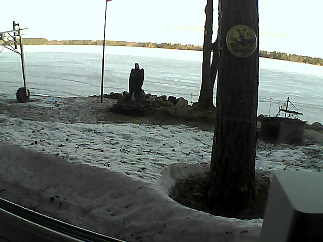 Whiteface Cam Image - Sun, 04/19/2020 7:03am 