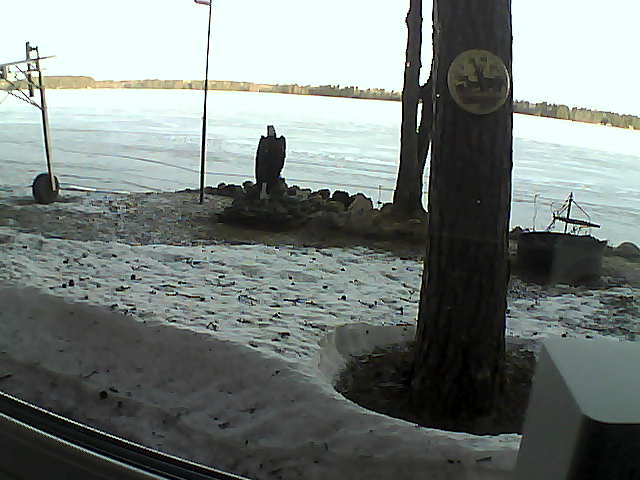 Whiteface Cam Image - Sun, 04/19/2020 7:13am 