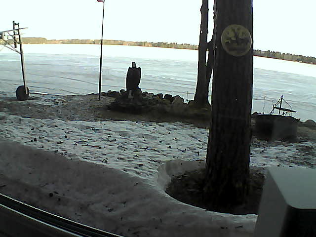 Whiteface Cam Image - Sun, 04/19/2020 7:23am 