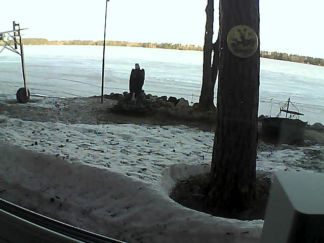 Whiteface Cam Image - Sun, 04/19/2020 7:33am 